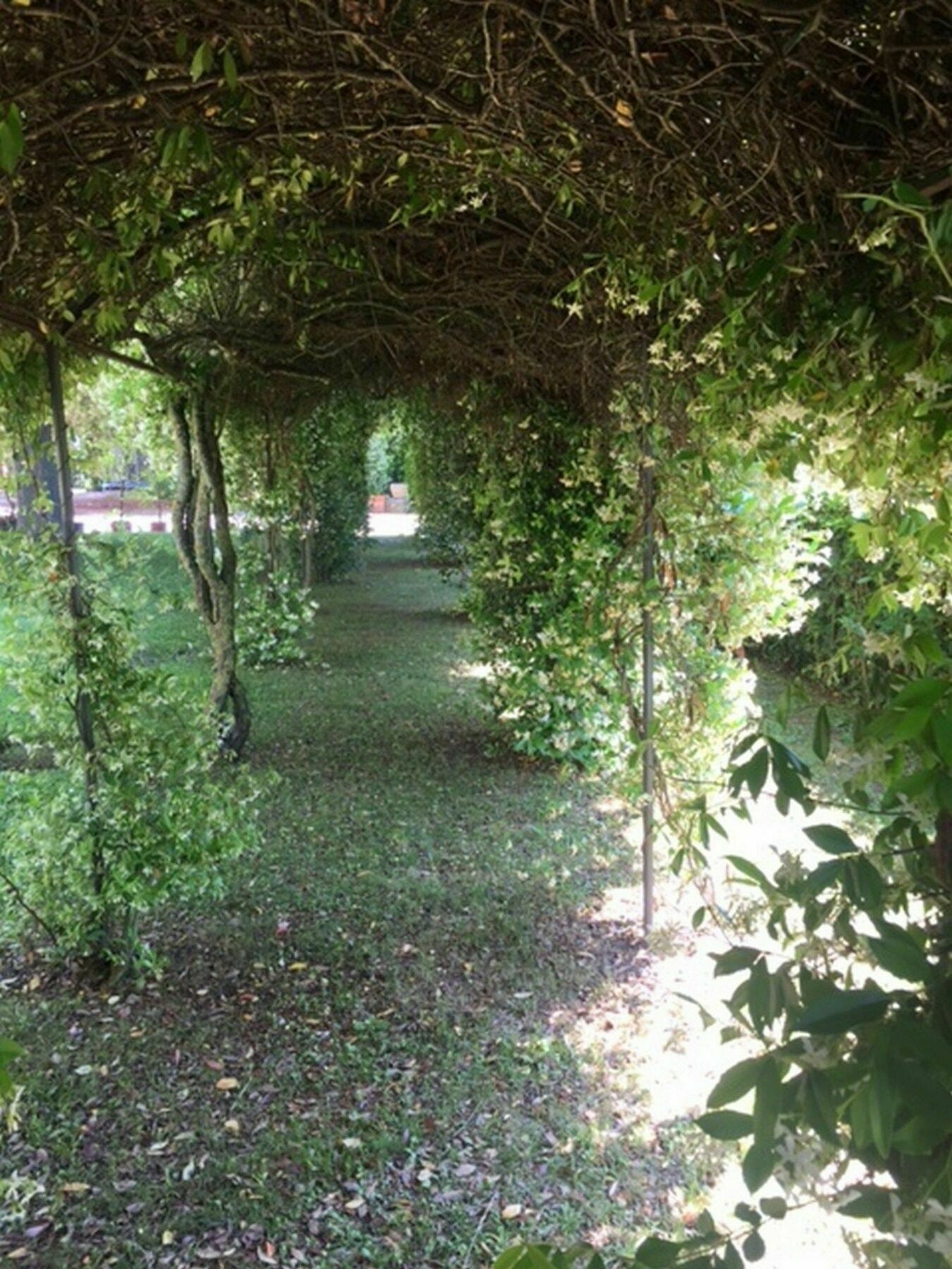 Relais Montemaggiore Bettolle Eksteriør billede